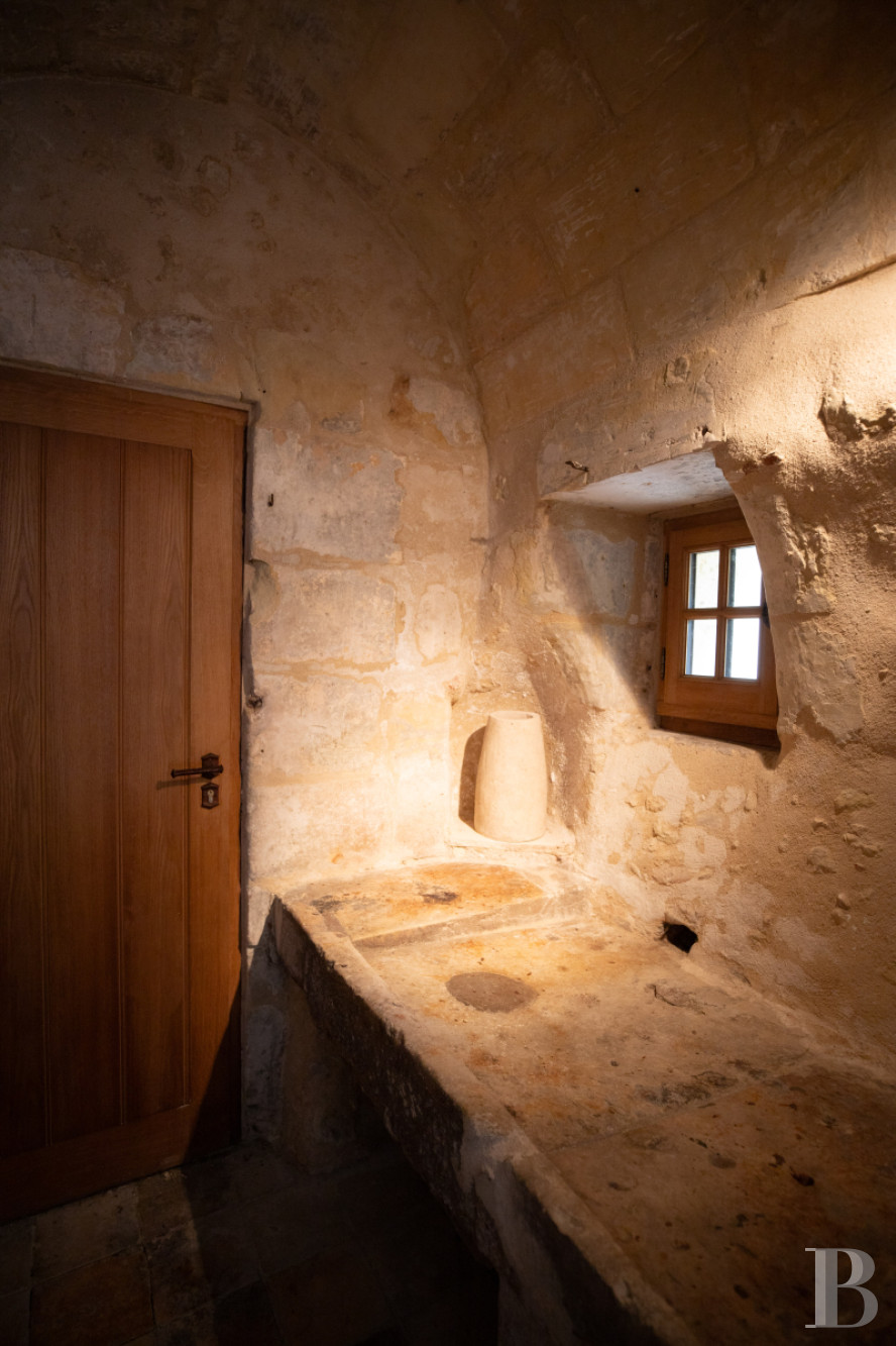 En Indre-et-Loire, sur les hauteurs d’un village, près d’Amboise, un château et son hameau en bordure de forêt - photo  n°15
